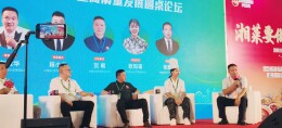 从“徽菜湘做”到“湘菜立标” 湘味臭鳜鱼团体标准发布