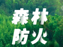 新田县召开森林防火等当前林业重点工作推进会