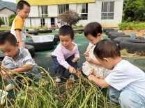 乡土润童心 国培促成长——石门新铺镇中心幼儿园教师成长故事集