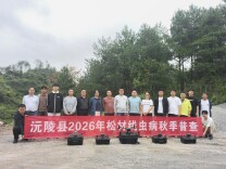 沅陵县全面启动2026年度松材线虫病疫情秋季普查工作 筑牢森林生态安全屏障