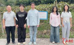 湖南人文科技学院团队：病害调查做扎实，防控研究更精准  