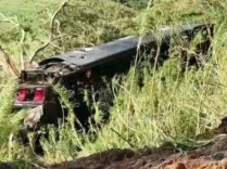 巴西圣保罗州发生交通事故 致5人死亡