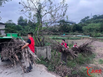 涟源：空地联动织密防护网 秸秆禁烧治理取得实效