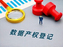 一次登记、全国通用，数据也有“身份证”了！