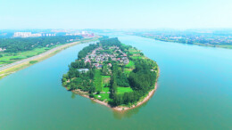 湘江“洲”到好去处丨鹅洲，花海环抱的江岛田园！