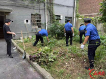 娄底城管“三进”观化网格开展小区毁绿种菜专项整治