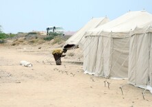 国际移民组织：也门近期冲突升级已致近13万人流离失所