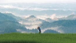 爷爷的田|湘江副刊·湘韵