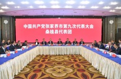 贺辉参加市第九次党代会桑植县代表团讨论