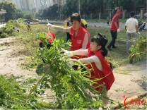 黎托街道托溪社区联动攻坚阳泰路环境擦亮美丽新雨花民生底色