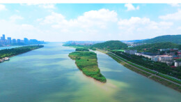 湘江“洲”到好去处丨柳叶洲，橘洲旁的城芯绿肺