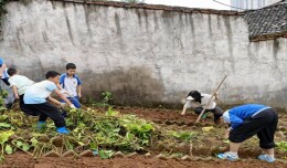 石门县三完小：耕耘沃土悟成长 劳动实践润初心 