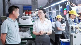 厚植产业比较优势 攻坚项目蓄势突破——访邵阳市工业和信息化局党组书记、局长何志红