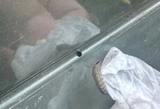 车上莫名其妙出现小圆洞，多地频现！不少人已“中招”，专家提醒→