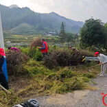 溆浦县黄茅园镇分水界村中秋佳节开展环境整治与暖心慰问志愿服务活动