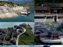 中央纪委、财政部联合通报，专门点到这句话