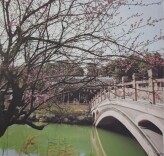 向北！向北！——杜甫草堂行记（五）