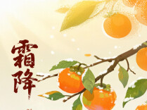 解锁节气仪式感！霜降，你吃柿子了吗？