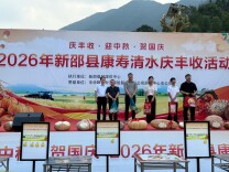 中华财险邵阳中心支公司：以保险力量赋能乡村丰收盛会