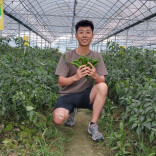 湘伴丨1000名，湖南想选什么样的年轻人？