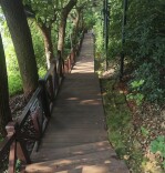 栈道换“新装” 老旧公园变“亲水客厅”