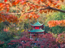 文旅援村，岳麓山与白箬铺镇联合开展携手共建交流活动