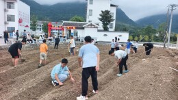 耕耘沃土播希望   体验农趣促成长 