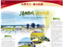 沅澧实干 聚力向新⑭ | 活力鼎城 鼎力担当——鼎城区奋力打造常德高质量发展核心增长极