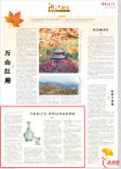 今时的月光，曾照过苏轼的酒杯|跟着诗词去赏秋·湘江副刊·湘韵