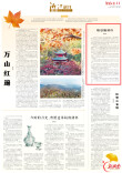 秋日挽洲行|跟着诗词去赏秋·湘江副刊·湘韵