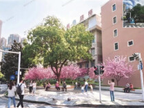 设计方案公示，郴州将建一批口袋公园、健身场地，在你家附近吗？