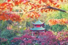 万山红遍|跟着诗词去赏秋·湘江副刊·湘韵