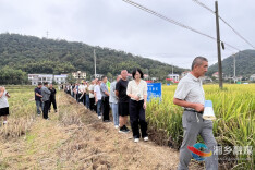 湘潭市中稻植保贡献率评价试验现场观摩交流活动走进湘乡