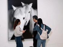 在长沙，免费看“马展”！顺便逛个艺术市集