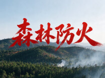 安仁县人民政府森林防火禁火令