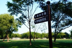 来副中心打卡森林营地！山野寻宝、音乐电影、玩偶巡游全安排~