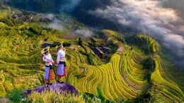 一起“森”呼吸④｜虎形山：云上花瑶，在山野间体验非遗浪漫