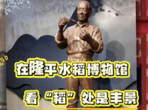 新场景里看活力丨在隆平水稻博物馆，看“稻”处是丰景