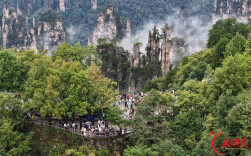 “十一”乐游张家界丨张家界国家森林公园：登山赏景享假期