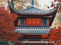 约满，限流！湖南热门景区最新预约情况来了