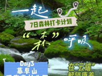 一起“森”呼吸③｜幕阜山：在“云端”解锁森林康养