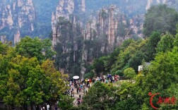 “十一”乐游张家界丨张家界国家森林公园晴好天气迎客流高峰 