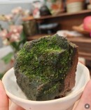 年轻人“养砖头”须防健康隐患