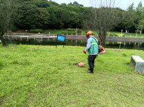 修剪10万㎡、清运70余车，他们守护苏仙颜值！