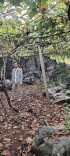 荒山结紫果 葡萄富乡邻 ——记江华河路口镇葫芦山创业者龙乾坤