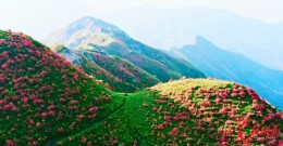 史海钩沉丨登临南山之首 寻访招摇之山——华夏先民对南方的最初想象