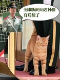 全网刷屏的天安门小猫，后续来了！