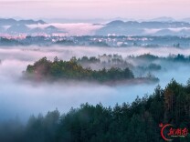 秋景如画
