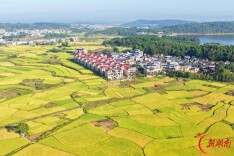 丰收季 乡村美