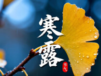 节令之美｜寒露：塞北秋寒 露凝芳华